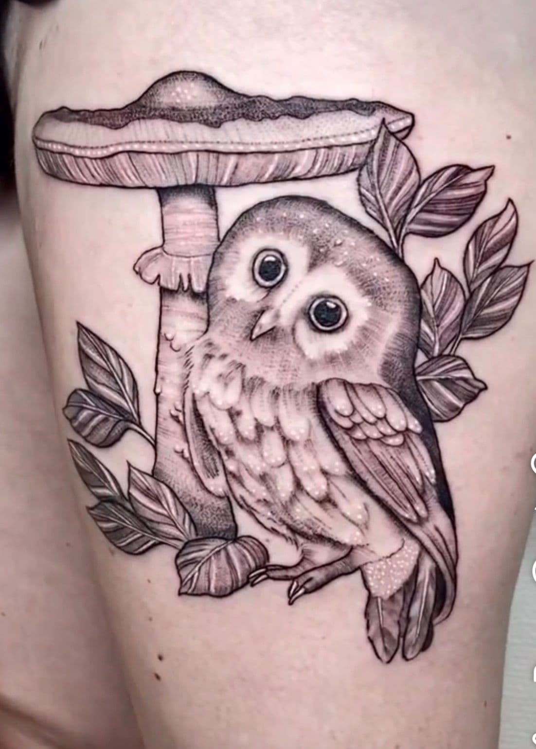 Tatuering av en uggla
